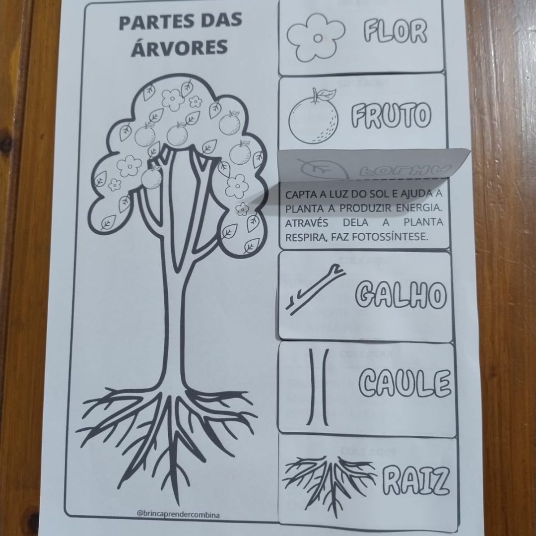 Parte das àrvores